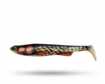 TrueGlide Swim Shad 29 cm - Kiwi Burbot